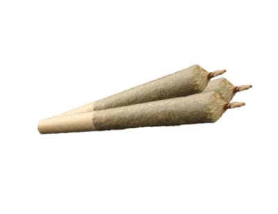 Indica 20% Plus Pre-Roll 3-pack | 3g