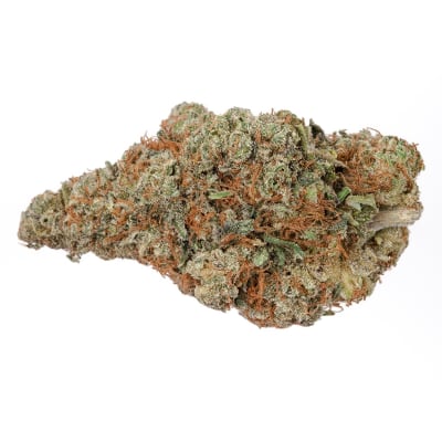 Rotterdam Indica 28G - Rotterdam Indica 28g Dried Flower