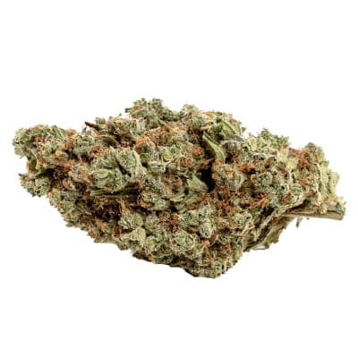 Couch Potato - - Indica - Couch Potato 14g Dried Flower