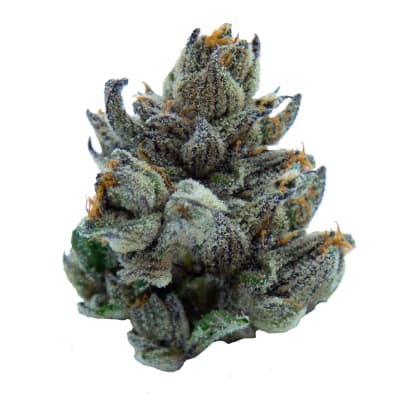 AI 96 - 3.5g Indica