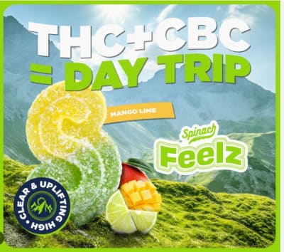 Spinach Feelz - MANGO LIME (Higher Dayz) THC+CBC - 5X2mg