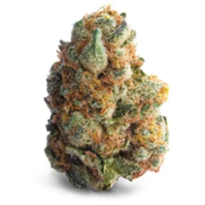 GMO Cookies by Spinach - GMO Cookies - 3.5g in West Kelowna