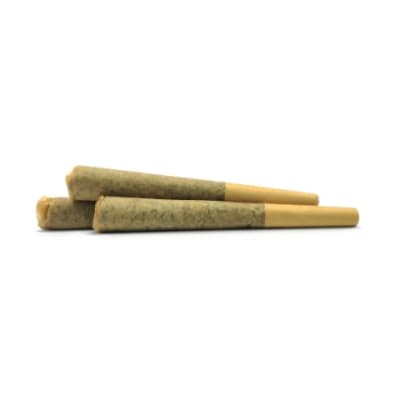Black Berry Breath Pre-Roll 3-pack | 1.5g
