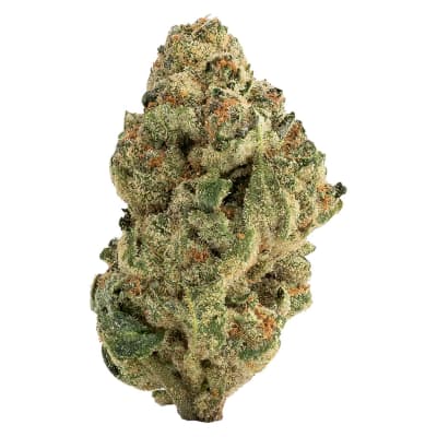 Venom - - Indica - Venom 28g Dried Flower