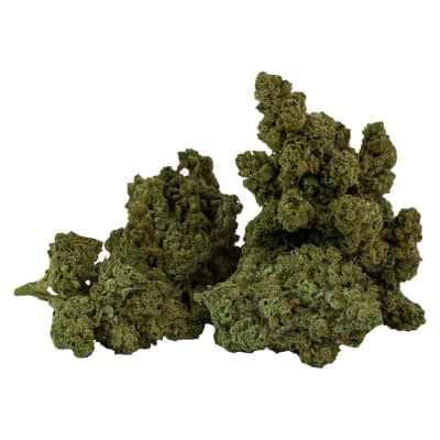 Galactic Glue - 7g