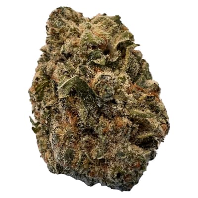 BC Purple Kush | 28g - 28g in Pickering