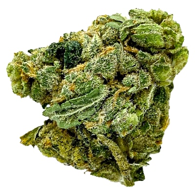 Crab Cakes (Snow Lotus x GSC) l 1g