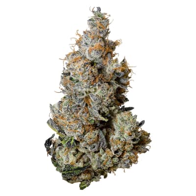 Triple Burger - - Indica - Triple Burger 3.5g Dried Flower