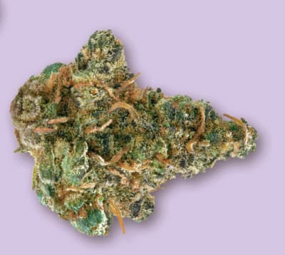 Space Cake - 3.5g in Fernie