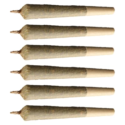Fruitlicious - Weed Me - Multi Strain Preroll 6x0.5g