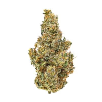 BC ORGANIC DANCEHALL | BC ORGANIC DANCEHALL - 14