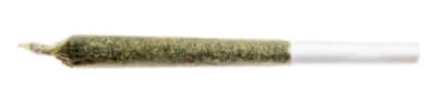 Jean Guy Pre-Roll | 1x1g