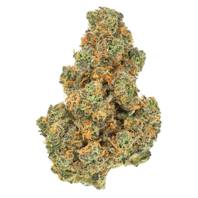 Pink Diesel '71 (Pink Kush x Driftwood Diesel) | 3.5g
