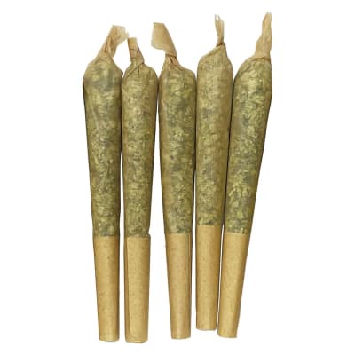 Apricot Cream x Cheese 1:1 Pre-Roll 5-pack