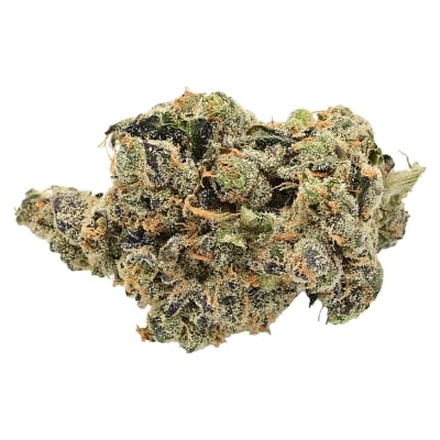 Burner Phone Special - 7g Hybrid