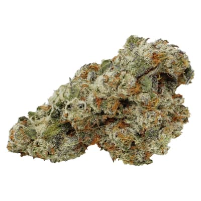 Special Haze - - Sativa - Special Haze Dried Flower