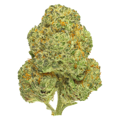 Chemango Kush Flower - Indica