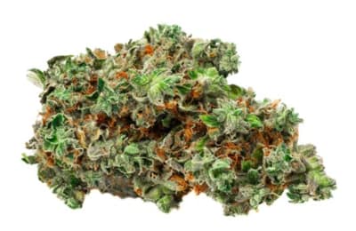 Bold Root Beer Float - Indica - 3.5g in Iqaluit