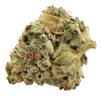 Coastal Kush 3.5g - Indica