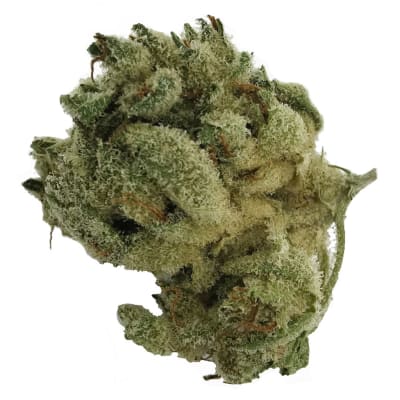 Cheddar Bob - 3.5g Indica