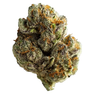 Koko's Cookies Dried Flower
