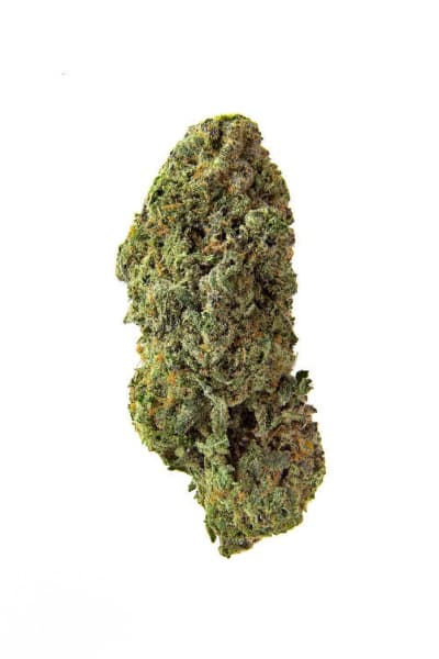 BANDWAGON SATIVA 7G - BANDWAGON SATIVA RTNL FLOWER - 7