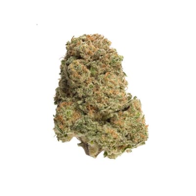 BANDWAGON INDICA 7G - BANDWAGON INDICA RTNL FLOWER - 7