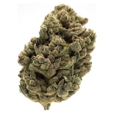 Jungl' Cake - - Sativa - Jungl' Cake 3.5g Dried Flower