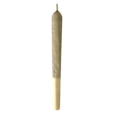 Jungl' Cake - MTL Cannabis - Sativa Pre-Roll 3x0.5g