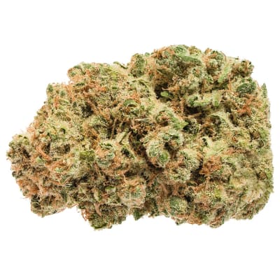 Cherry Bomb - 14g Sativa