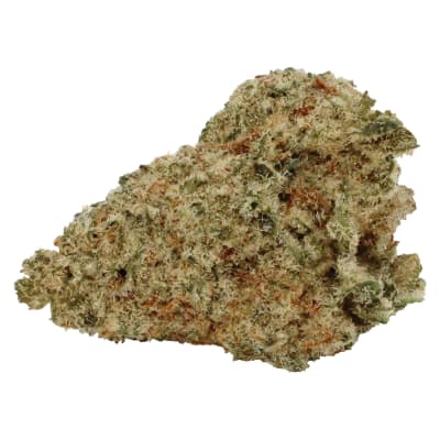 Little Pleasures - Pure Laine - Hybrid - Dried Flower
