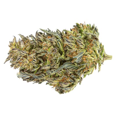 Star Chase - 14g Hybrid