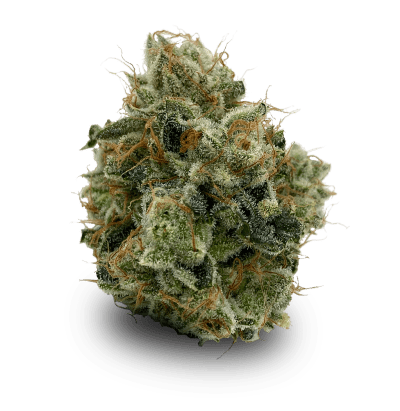 Matanuska Thunder F#*k - SATIVA - 3.5g in Iqaluit
