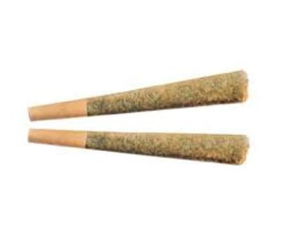 Fuego - Night Rider Pre-Rolls - 2x1g Indica