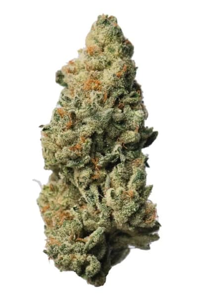 Alberta Grown Indica (White Truffle) 14g