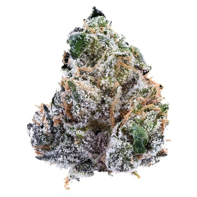 Guava Jam Dried Flower - Indica