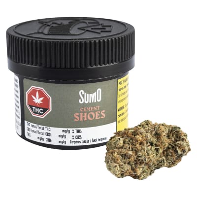 Cement Shoes | 3.5g