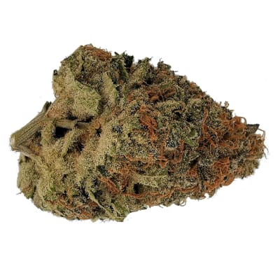 Animal Sorbet - 3.5g Indica