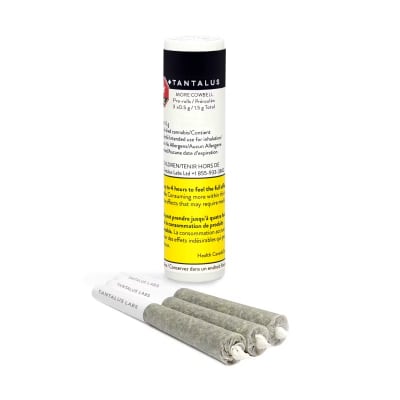 More Cowbell Pre-Roll by Tantalus - More Cowbell Pre-Roll - 3pk