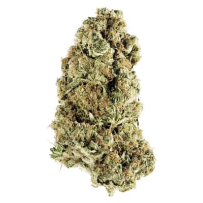 Animal Rntz - Indica