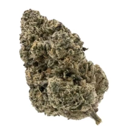 MELLOW MAN DF