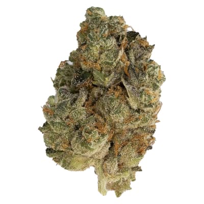 Secret Stash - Hybrid
