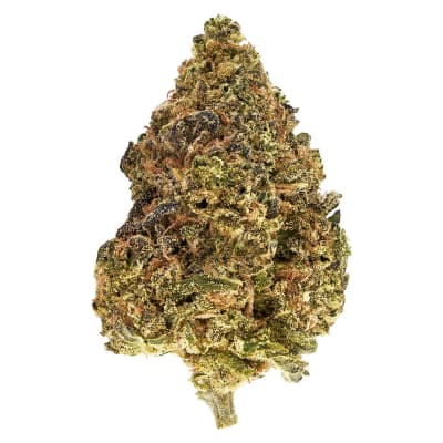 Skullcap - - Hybrid