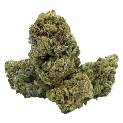 Dried Flower - Hybrid - Blue Zello