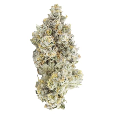 Pheno Hunt Series - 7g Indica