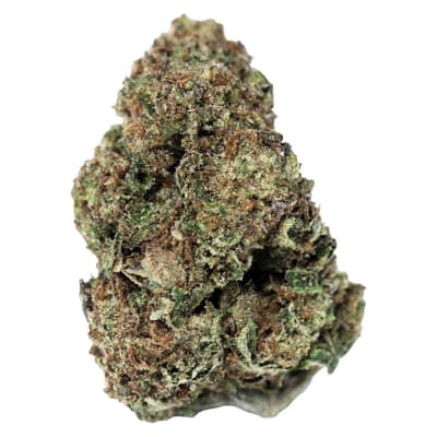 Northern Lights - Dried Flower 14g