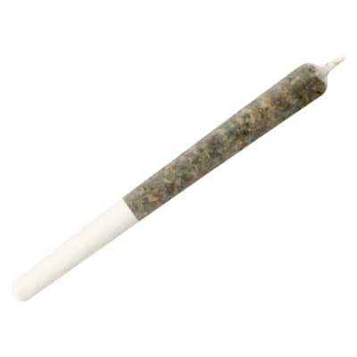Wildcat Serum Pocket Rockets | Dime Bag | Distillate Infused | Hybrid | 1x0.5 Pre-Roll