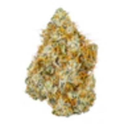 BC Organic Citrus Sky LTO by Coast Mountain Cannabis - BC ORGANIC CITRUS SKY LTO - 3.5G
