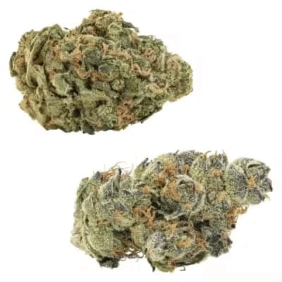 Comboz: Ultra Sour + Tropical Cookies Sativa 2 x 14g Dried Flower