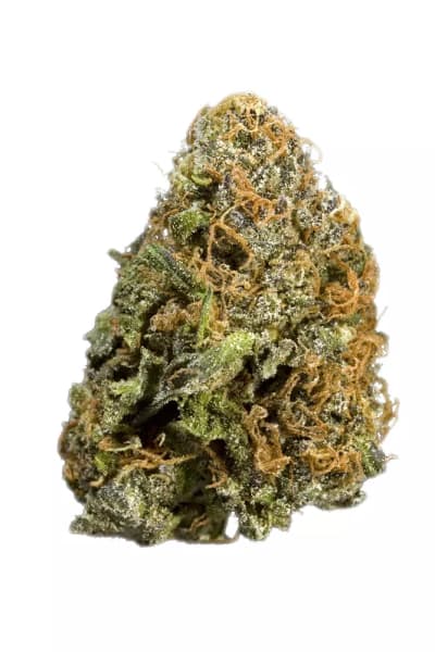 Ringo's Gift Type 2 Balanced 7g